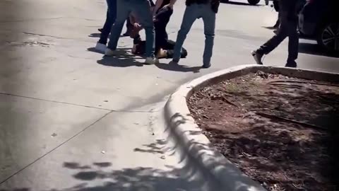 ‘The Snake’ by Oscar Brown Jr., Read by President Donald J. Trump