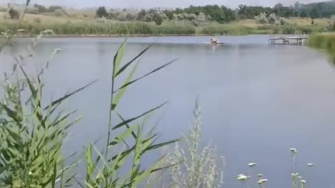 🌿💦 Ukraine Russia War | Life in Occupied Donbas: A Glimpse into Russian-Held Territory | RCF