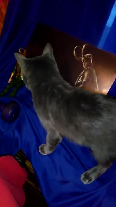 Windigo checks out my Loki merch