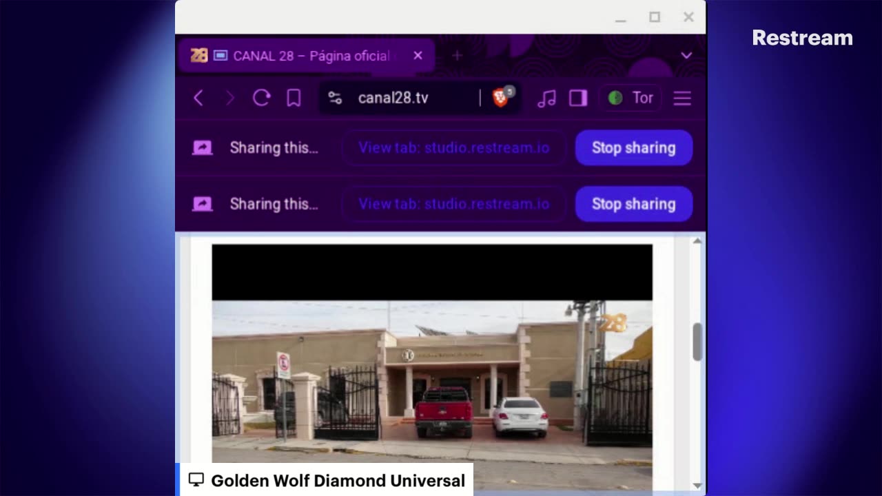 Golden Wolf Diamond Universal 1.2