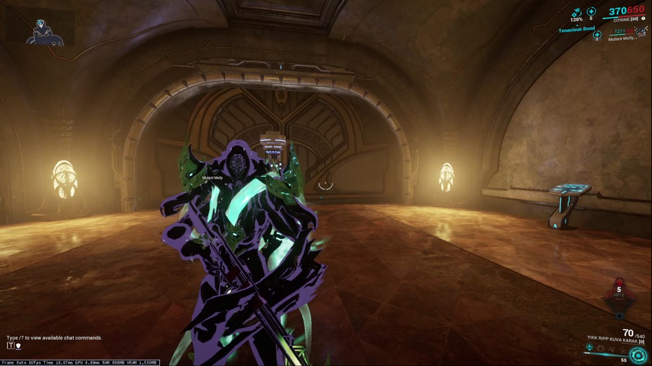 Why you have a pet in Warframe