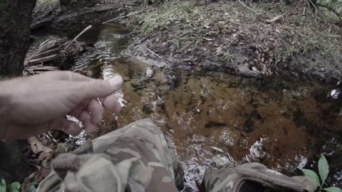 Chevelle - Hallucinations - Bright As Blasphemy