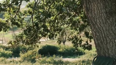 Daily Horoscope | Taurus 🌟