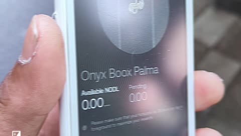 Boox Palma