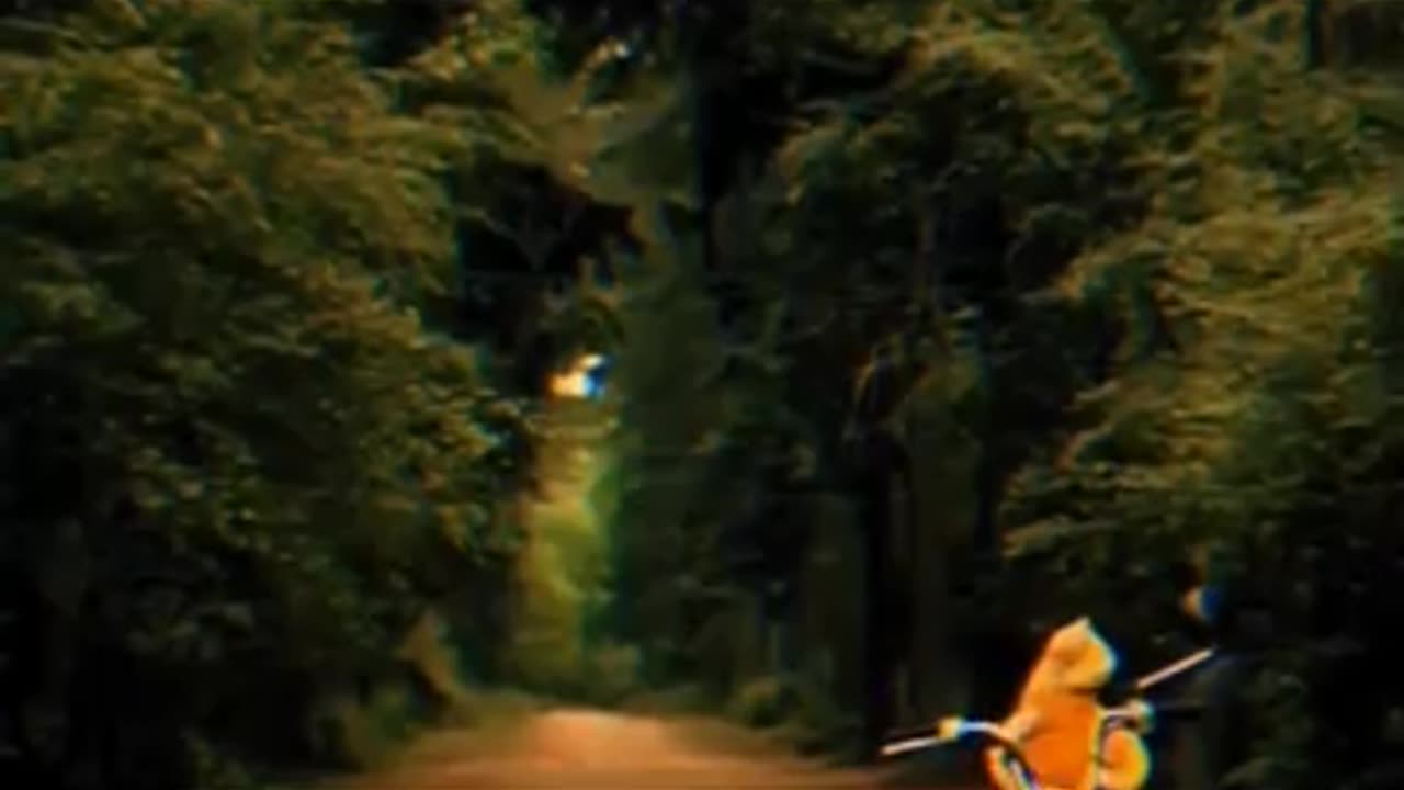 Confusion as a person