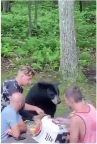 A peanut butter sandwich can bring world peace