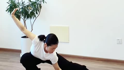 1222.髋胯空间力