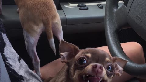 Lupita Does Not Like Being Filmed