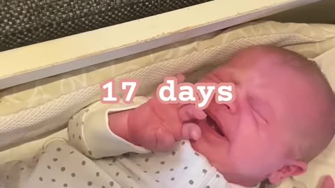 day 17 fussiness – kayla’s newborn moments captured
