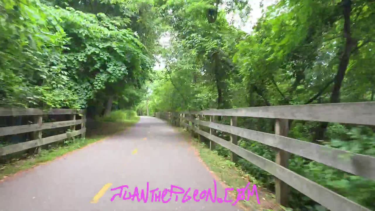 JTPFRAMINGHAM ON YT AND JUANTHEPIGEON ON KICK LIVE NOW!!!