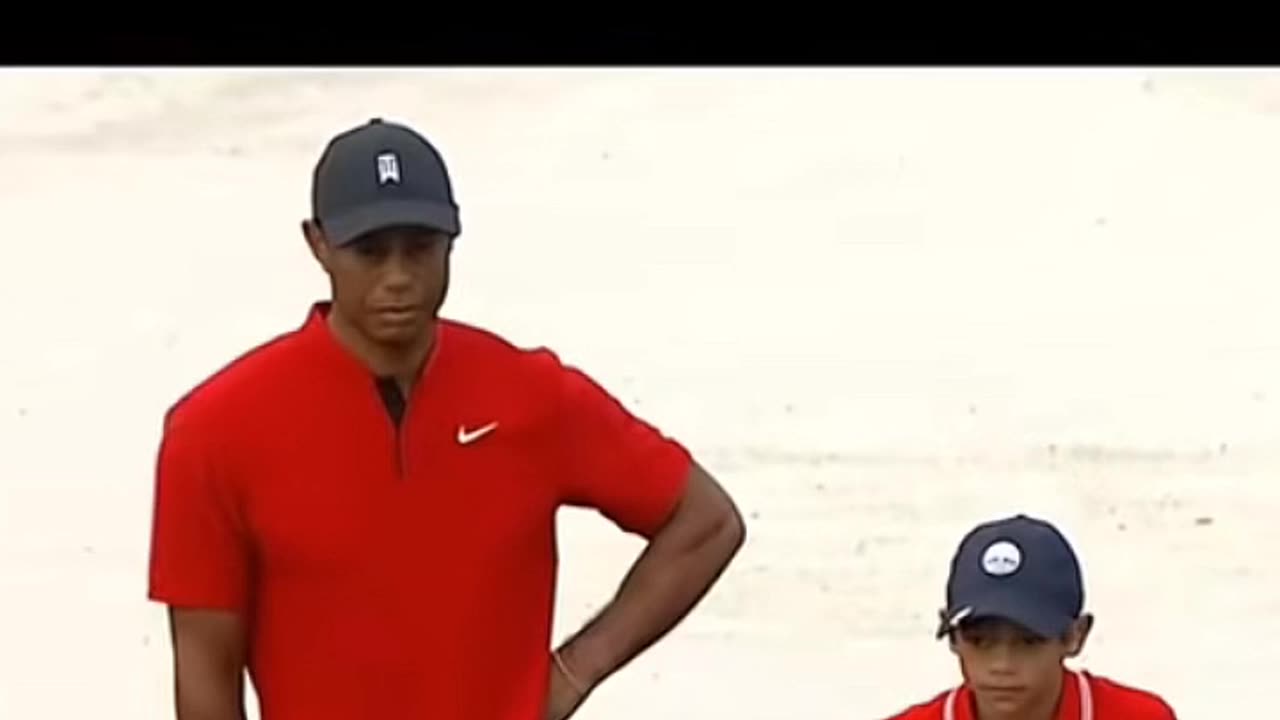 The Program