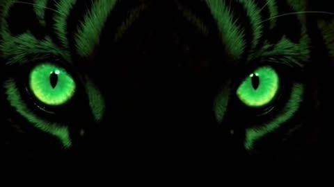 Mysterious Green Eyes Rumble