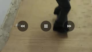 skateboarding