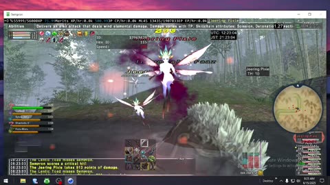 Playing Final Fantasy XI Online