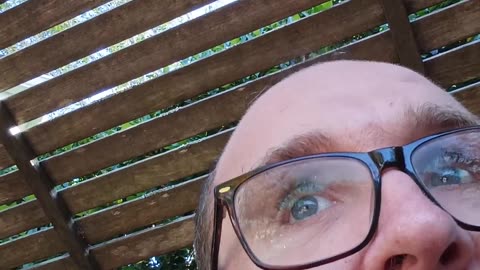 Since you insist on calling me "Mickey Adolf Gibson", I'm gonna start calling you Kim Jong Un.