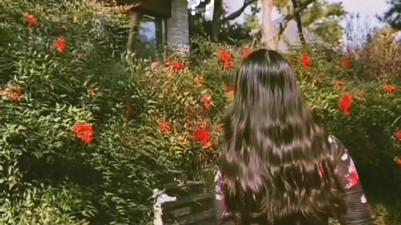 Top Trending Viral Clips