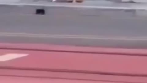 Funny fails