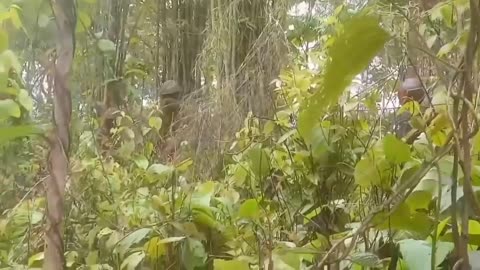 ⚔️🌄 Myanmar War | Arakan Army Rebels Clash with Junta Troops in Rakhine State | RCF