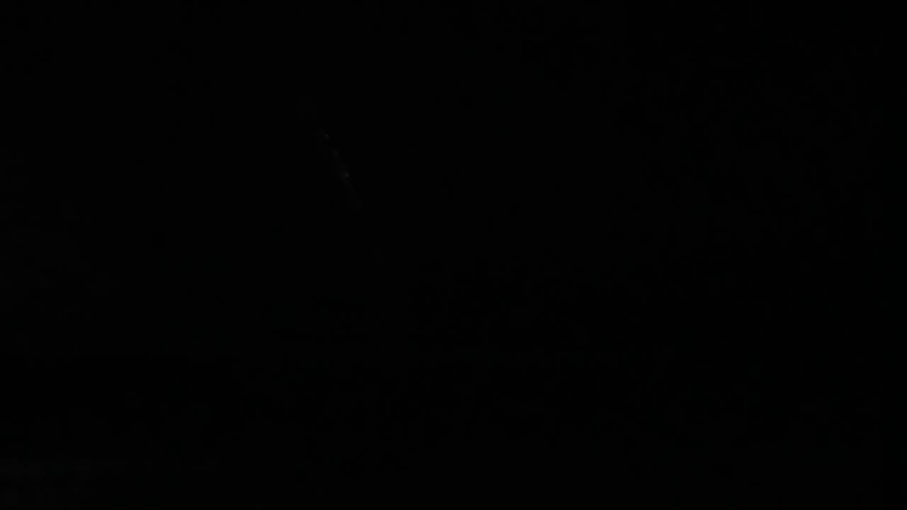 I see lions heads with open mouths