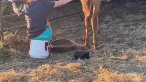 Damn… that was an incredibly powerful hit 😬 Is she okay?