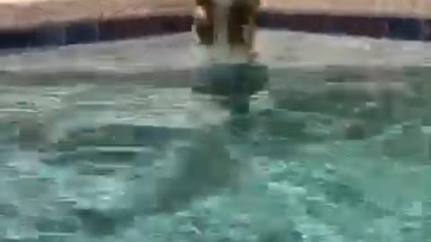 Pool Jump