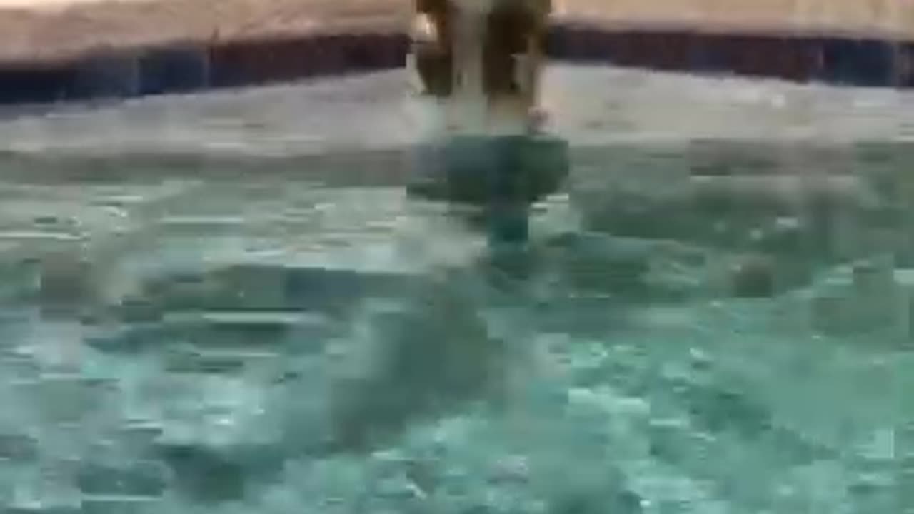 Pool Jump