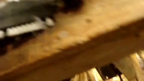 Dirt Devil breeze vacuum smashed