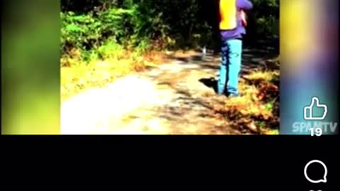 gun fools