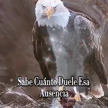 REFLEXIONES 💫 🤍 💫 🤍 💫 🤍 💫 🤍 💫 🤍