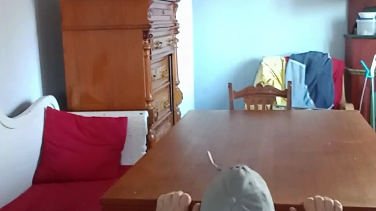 Beginners Full Body Calisthenics Workout at Home 💪 #shorts