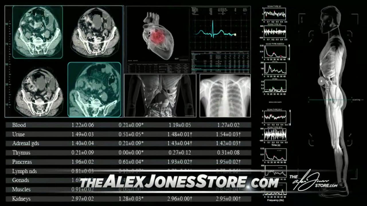 INFOWARS LIVE - 9/24/25: Nick Fuentes / The American Journal with Breanna Morello / The Alex Jones Show / The War Room With Harrison Smith