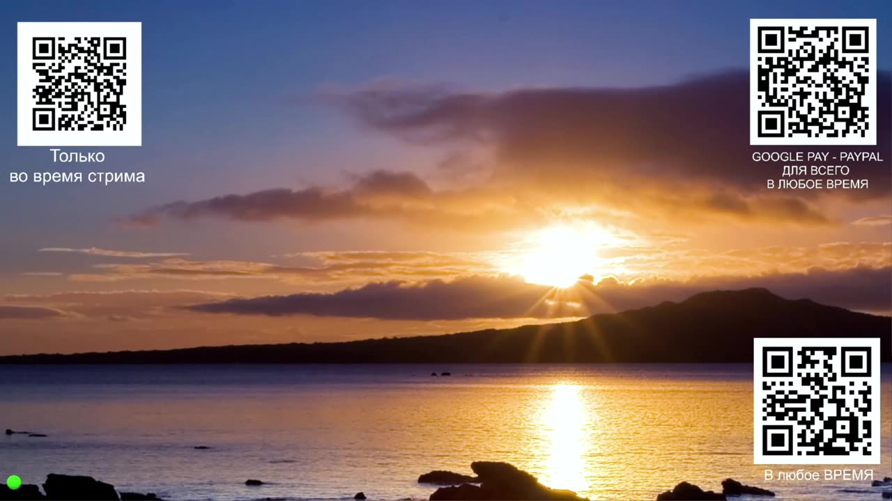 Бурление Ебанариума и Тест новой платформы