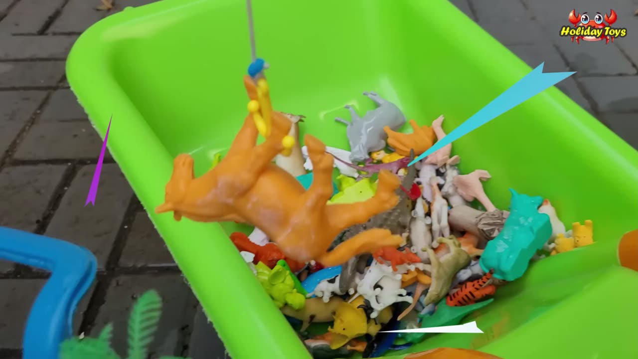 Gecko Climbs Tree and Jumps Into Bucket to Bathe