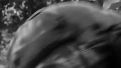 Combat! S04E13 Luck with Rainbows