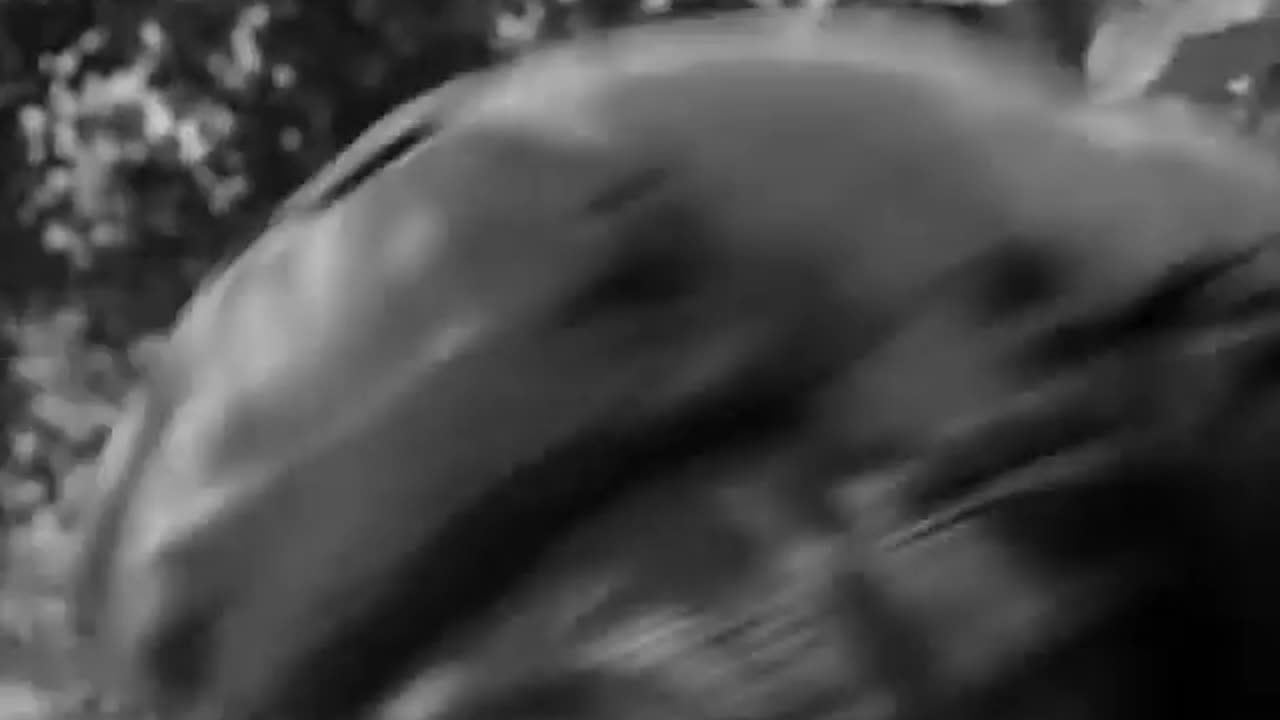 Combat! S04E13 Luck with Rainbows