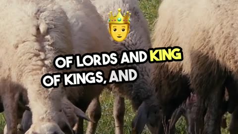 Unveiling Babylon Revelation 17