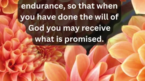 Journey of faith and spiritual growth Hebrews 10:35-36 Daily Bible Verse