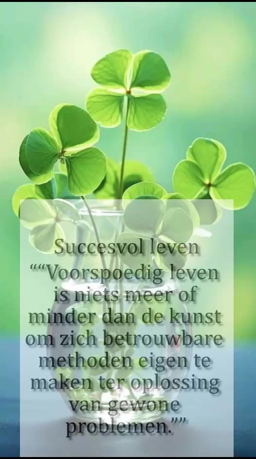 Successvol Leven