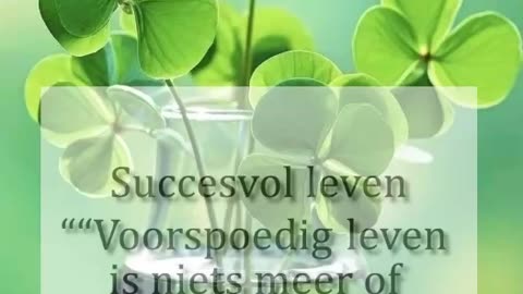 Successvol Leven