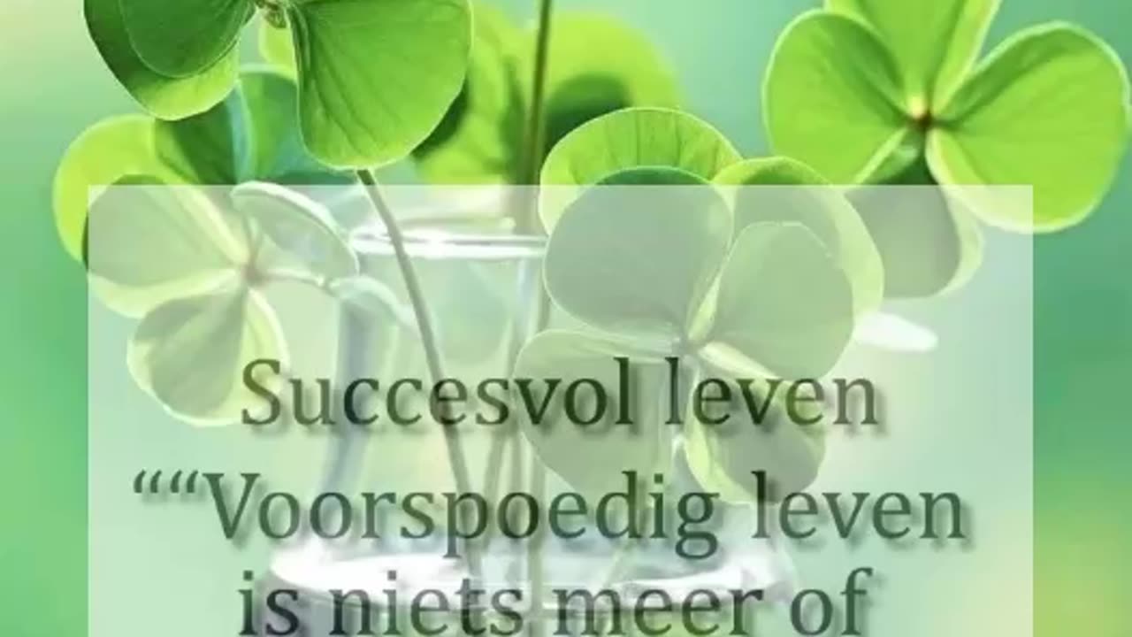 Successvol Leven