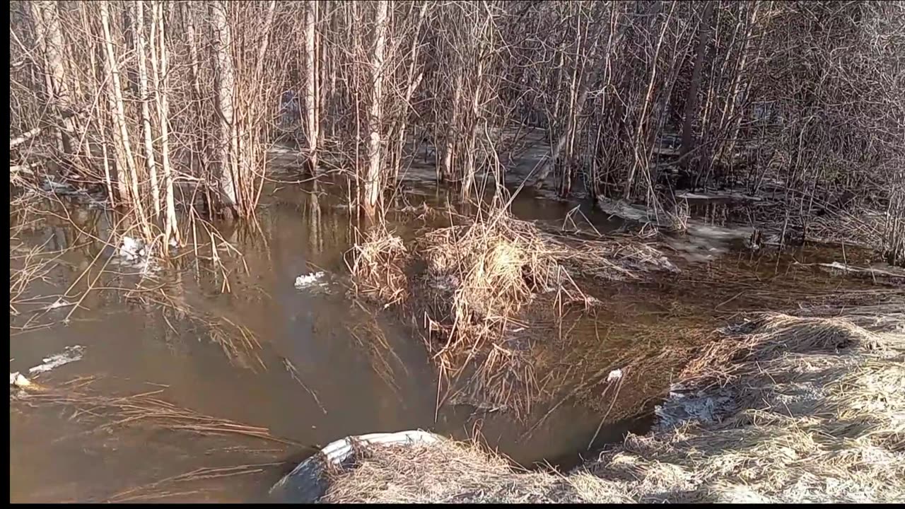 Our Creek