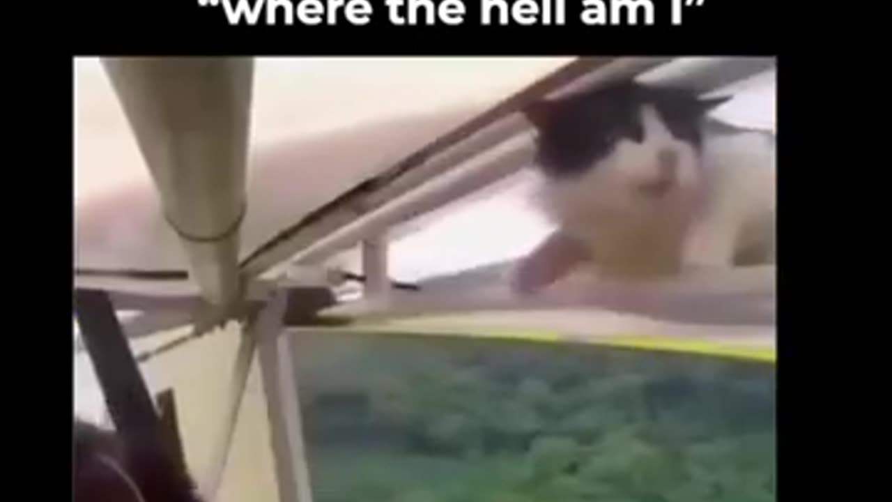 Bro Woke up Flying ☠️