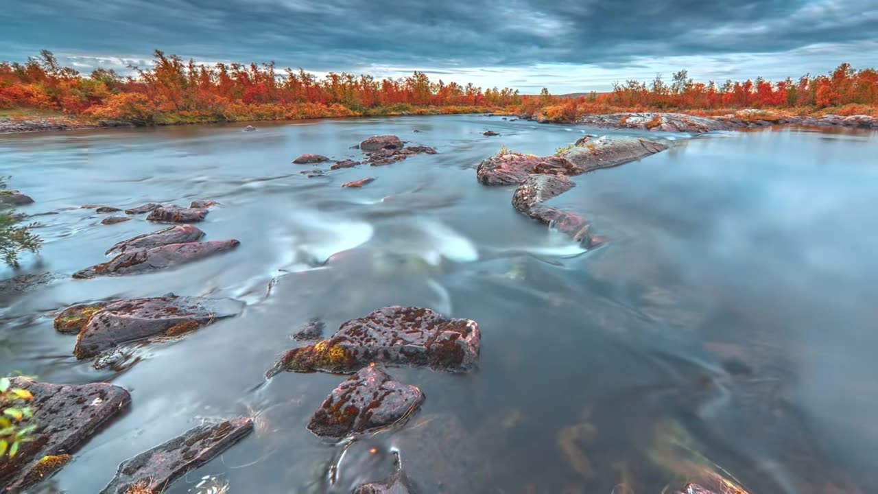 Dream Courtyard – Lofi House Garden