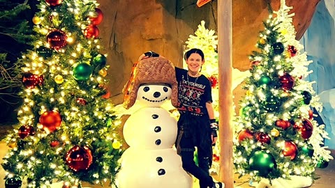 Holiday Season 2024 Highlight