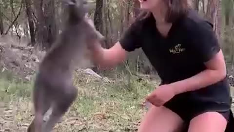 Animal funny video 14