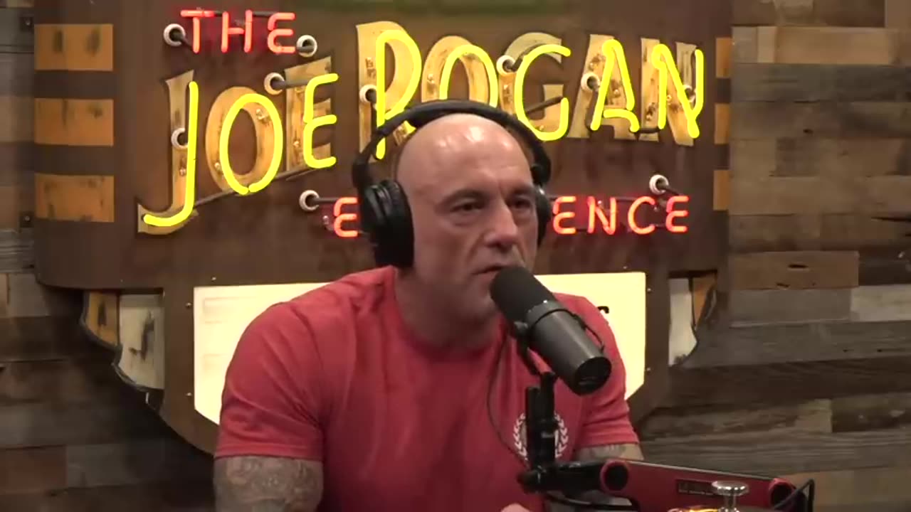 The Joe Rogan Experience | Amjad Masad (2344)