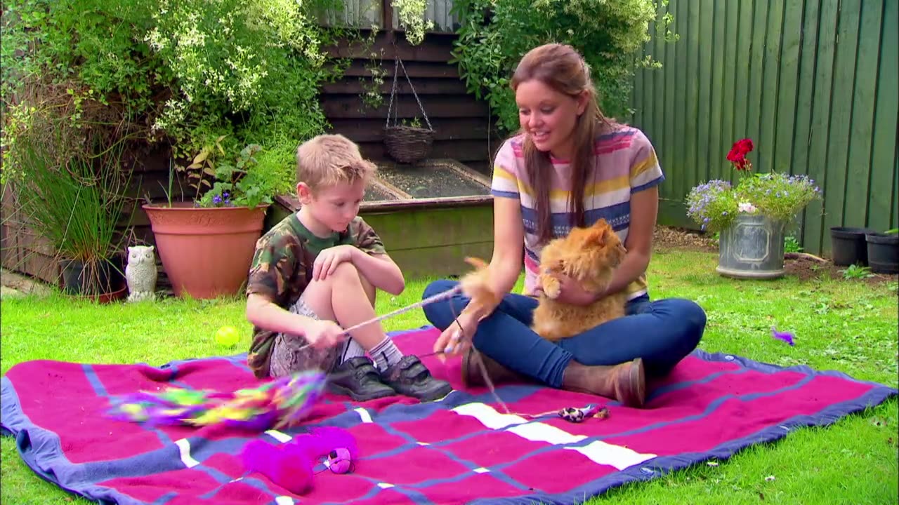 Mi Mascota y Yo - T1E20 - Gatos