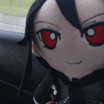 My Daughter's Favorite Plushy