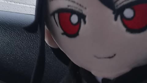 My Daughter's Favorite Plushy