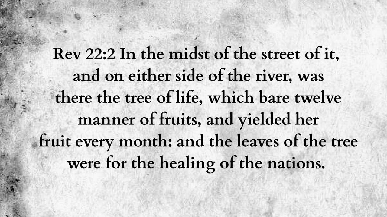 Martus Ministry -352- Two guardians